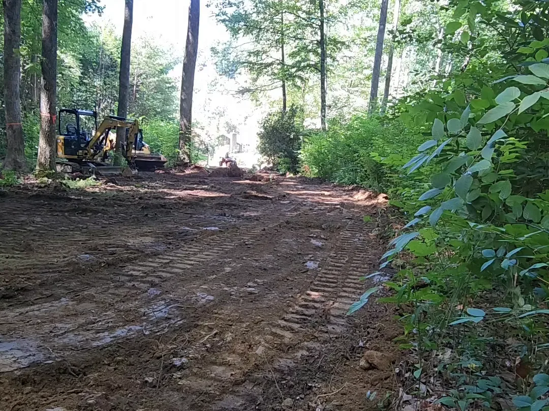 A fresh dirt road cut through the trees after clearing