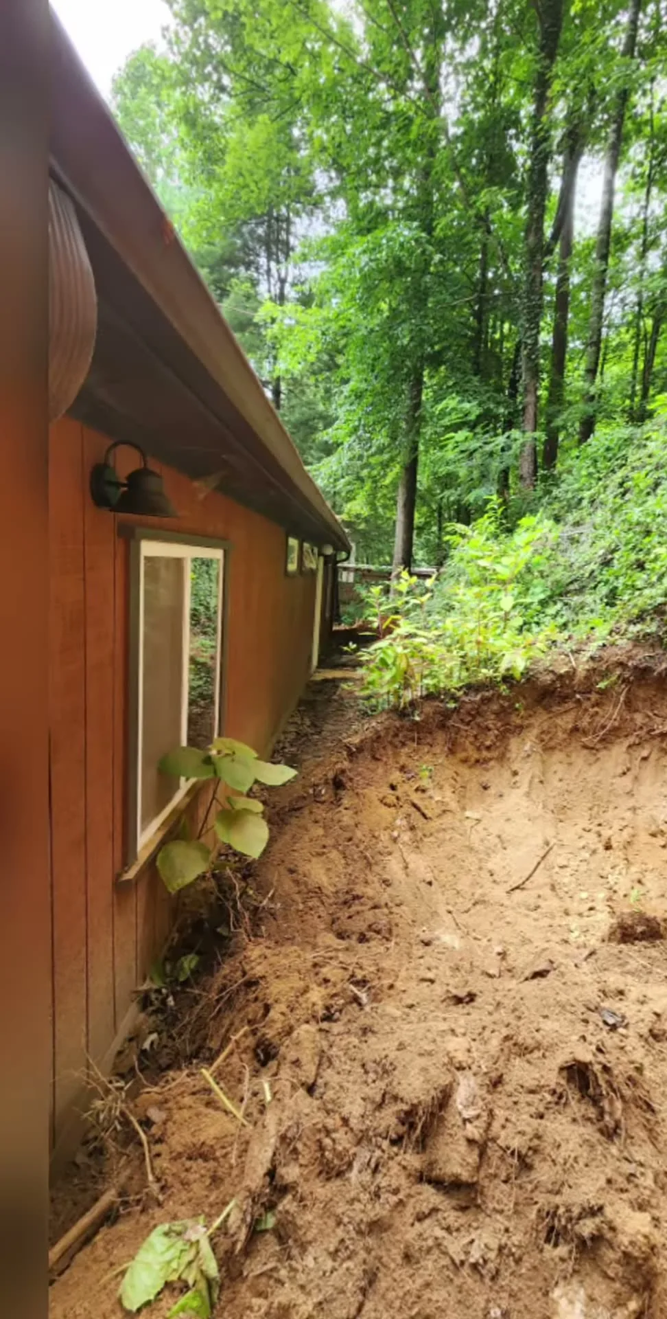 A cut regraded along the side of a house